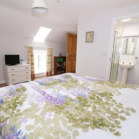 Cilgwyn Bach Villa Llandysul Eksteriør billede